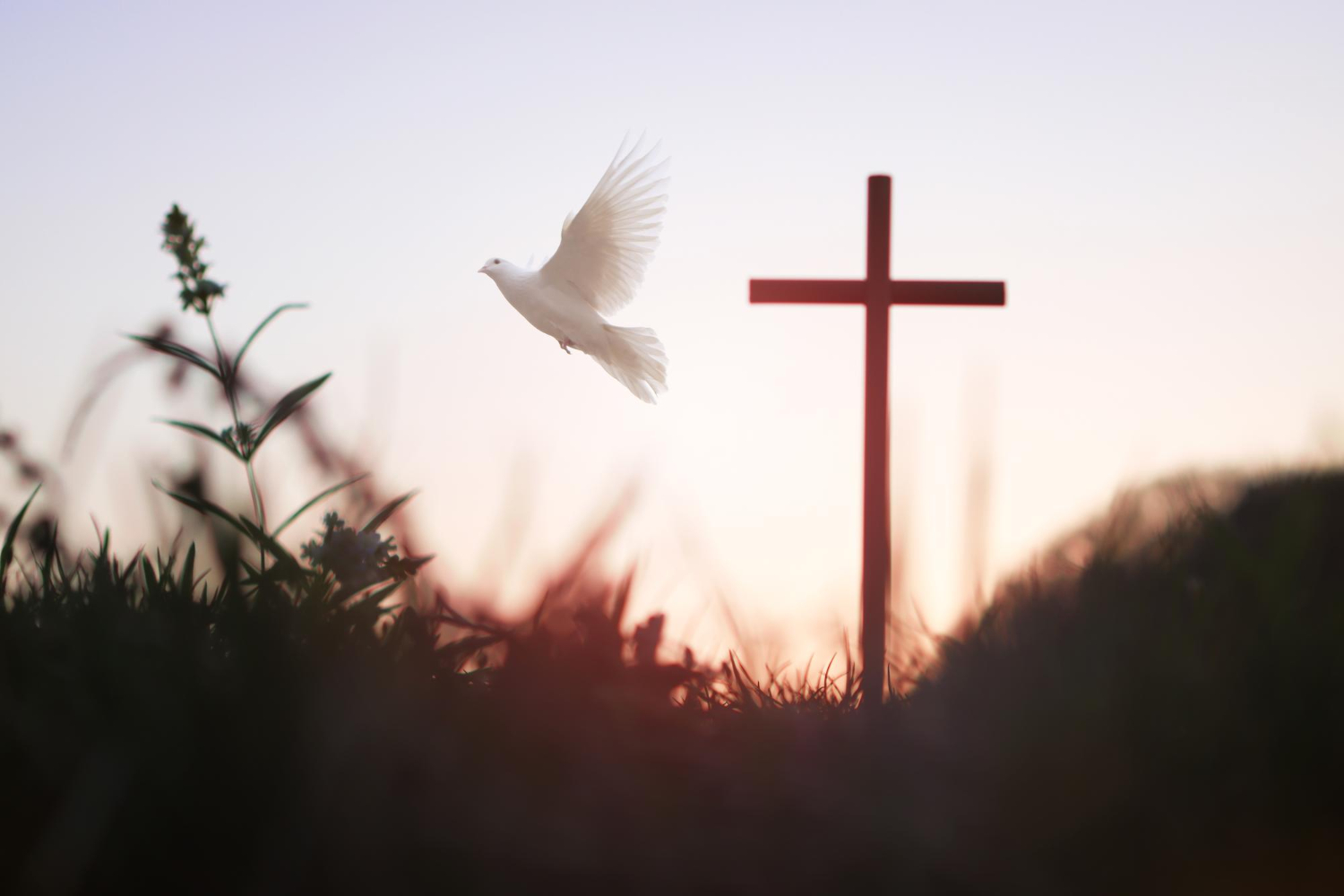God with Us